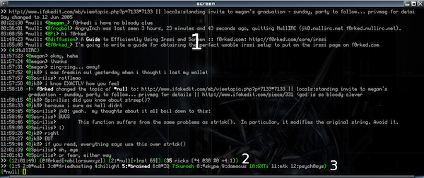 irssi screenshot (numbered)